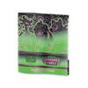 -AGOTADO- Elite Trainer Box Shrouded Fable – Pokémon TCG (Inglés)